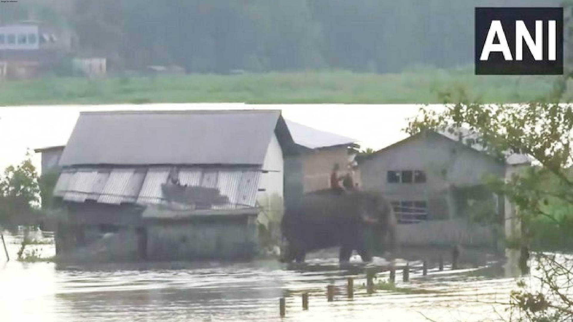 Assam: Flood situation remains grim in Nagaon; death toll from deluge rises to 84